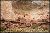 Double Cliff House. Canyon of the Ancients National Monument, Colorado, USA ( color)