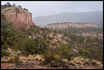 Sandstone cliffs in rain. Canyon of the Ancients National Monument, Colorado, USA ( color)