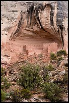 Sunny Alcove. Canyon of the Ancients National Monument, Colorado, USA ( color)