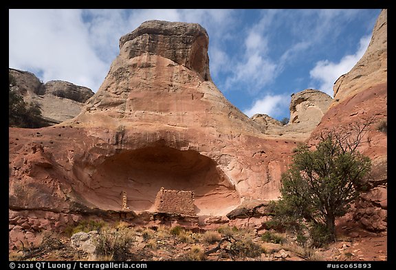 Saddlehorn Hamlet. Canyon of the Anciens National Monument, Colorado, USA (color)