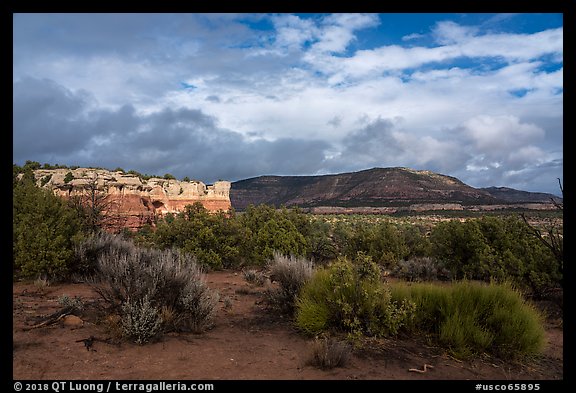 Cliffs and flats. Canyon of the Anciens National Monument, Colorado, USA (color)