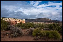 Cliffs and flats. Canyon of the Ancients National Monument, Colorado, USA ( color)