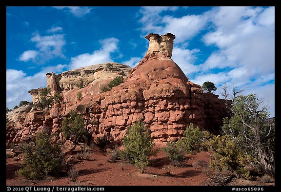 Entrada Sandstone bluff. Canyon of the Anciens National Monument, Colorado, USA (color)