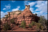 Entrada Sandstone bluff. Canyon of the Ancients National Monument, Colorado, USA ( color)