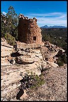 Tower, Painted Hand Pueblo tower. Canyon of the Ancients National Monument, Colorado, USA ( color)