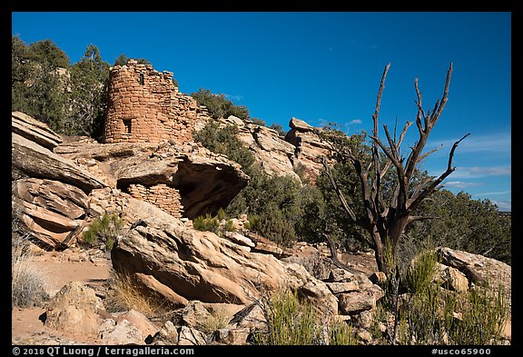 Painted Hand Pueblo from below. Canyon of the Ancients National Monument, Colorado, USA (color)