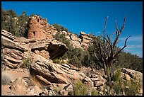 Painted Hand Pueblo from below. Canyon of the Ancients National Monument, Colorado, USA ( color)