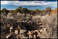 Ruined walls. Canyon of the Ancients National Monument, Colorado, USA ( color)