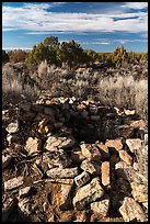 Unnamed ruined walls. Canyon of the Ancients National Monument, Colorado, USA ( color)