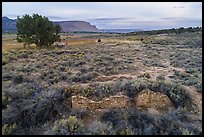 Aerial view of Lower House. Yucca House National Monument, Colorado, USA ( color)