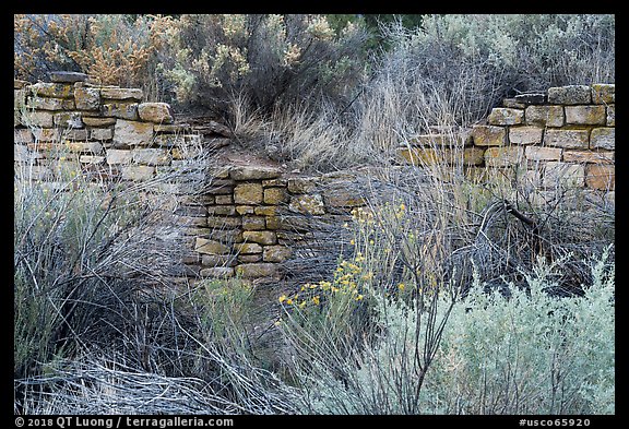 Partly excavated wall of Lower House. Yucca House National Monument, Colorado, USA (color)
