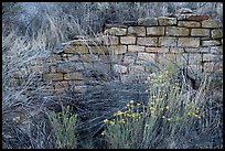 Shrubs and wall detail. Yucca House National Monument, Colorado, USA ( color)