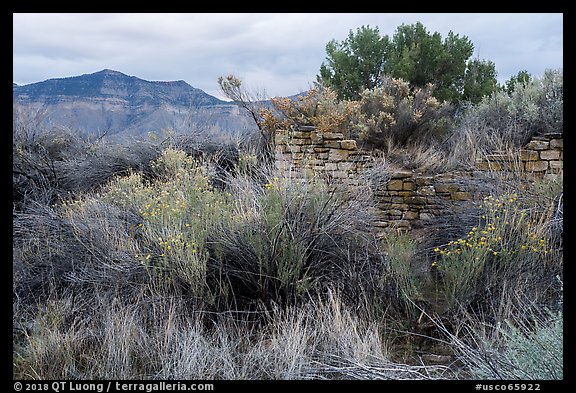Yucca House and Mesa Verde. Yucca House National Monument, Colorado, USA (color)