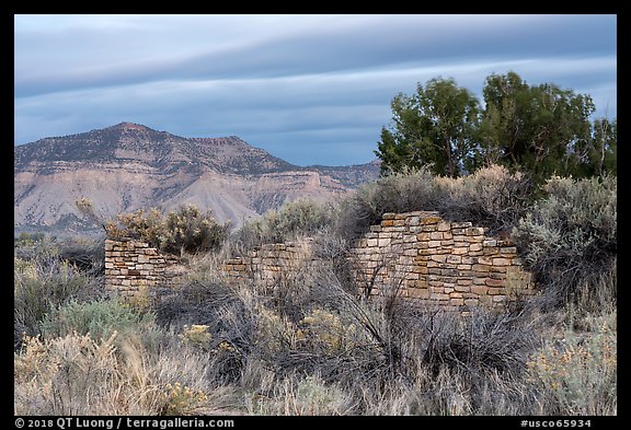 Lower House wall with Mesa Verde in background. Yucca House National Monument, Colorado, USA (color)