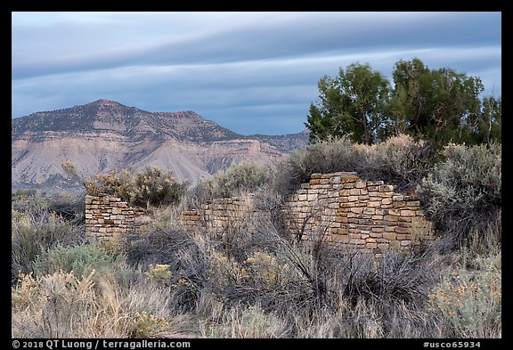 Lower House wall with Mesa Verde in background. Yucca House National Monument, Colorado, USA