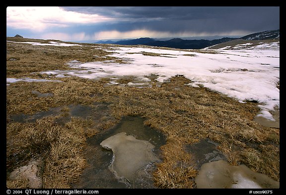 Tundra and snow on Mt Evans. Colorado, USA