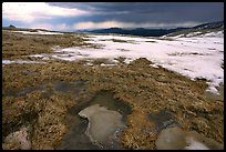 Tundra and snow on Mt Evans. Colorado, USA