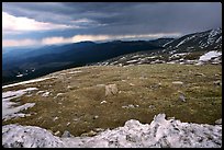 Snow and tundra on Mt Evans. Colorado, USA (color)