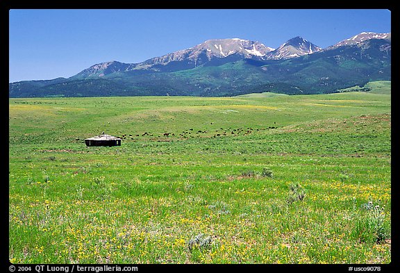 Meadow, Sangre de Cristo range. Colorado, USA (color)