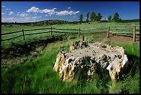 Petrified stump, Florissant Fossil Beds National Monument. Colorado, USA (color)