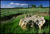 Petrified stump, Florissant Fossil Beds National Monument. Colorado, USA