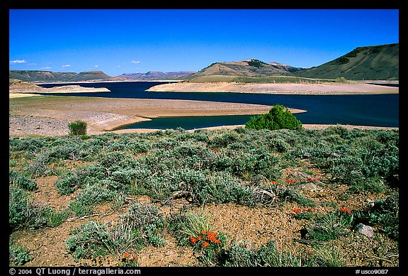 Cebolla Basin, Curecanti National Recreation Area. Colorado, USA (color)