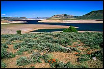 Cebolla Basin, Curecanti National Recreation Area. Colorado, USA ( color)