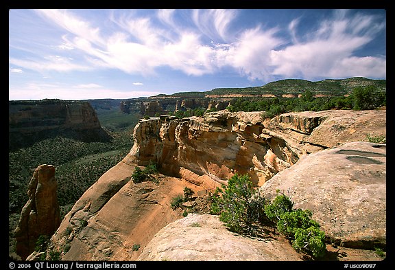 Cliffs. Colorado National Monument, Colorado, USA (color)