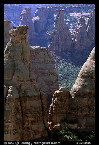 Spires. Colorado National Monument, Colorado, USA (color)