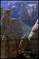 Spires. Colorado National Monument, Colorado, USA ( color)