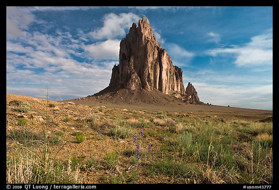 Wildflowers and Shiprock. Shiprock, New Mexico, USA