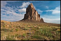 Wildflowers and Shiprock. Shiprock, New Mexico, USA