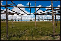 Drying rack in field. Taos, New Mexico, USA ( color)