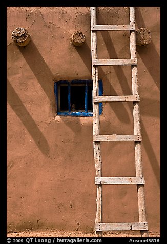 Ladder, Vigas, and blue window. Taos, New Mexico, USA