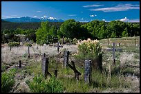 Woden crosses, cemetery, Picuris Pueblo. New Mexico, USA