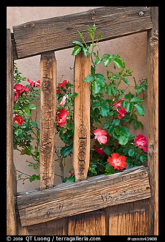 Roses and wooden doors, Sanctuario de Chimayo. New Mexico, USA