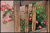 Door and roses, Chimayo Shrine. New Mexico, USA