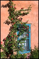 Roses, adobe wall, and blue window. Santa Fe, New Mexico, USA