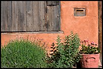 Flowers, mailbox, and weathered window. Santa Fe, New Mexico, USA (color)