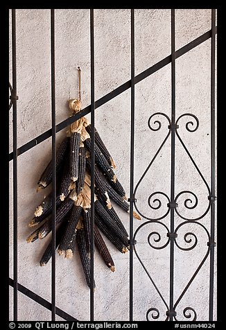 Dried black corn and ironwork. Santa Fe, New Mexico, USA