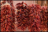 Ristras for sale. Santa Fe, New Mexico, USA