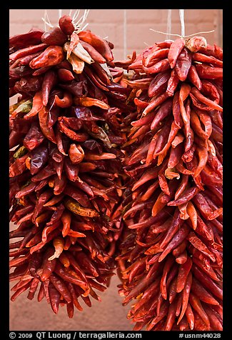 Strings of red peppers for sale. Santa Fe, New Mexico, USA (color)