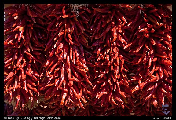 Close up of ristras. Santa Fe, New Mexico, USA