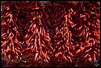 Close up of ristras. Santa Fe, New Mexico, USA ( color)