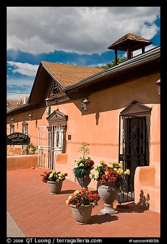 Potted flowers and gallery, old town. Albuquerque, New Mexico, USA