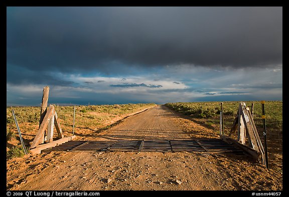 Cattle guard and unpaved road. New Mexico, USA
