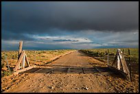 Cattle guard and unpaved road. New Mexico, USA (color)