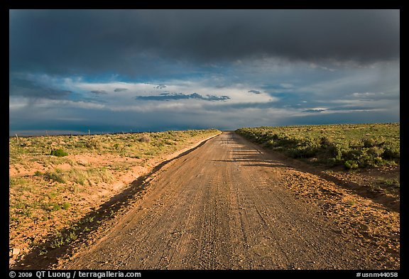 Primitive road under dark sky. New Mexico, USA