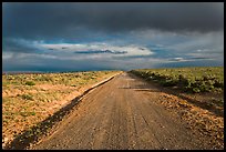 Primitive road under dark sky. New Mexico, USA ( color)