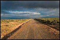 Primitive road under dark sky. New Mexico, USA